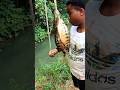 Primal Fishing With Worms In Jamaica Jamaica Worms Aquaticprince Jaguarcichlid Handlinefishing