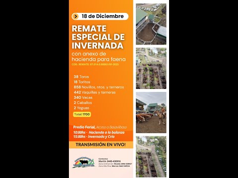 Remate especial de invernada Basavilbaso 18-12-2025 | Coop. Ganadera El Pronunciamiento