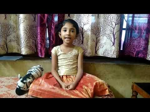 Paadiya Novyj Trend Smotret Onlajn Na Sajte Trendovi Ru trendovy ru