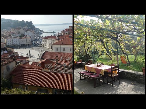Piran and Istrian Flavors tour from Koper, Slovenia 4K