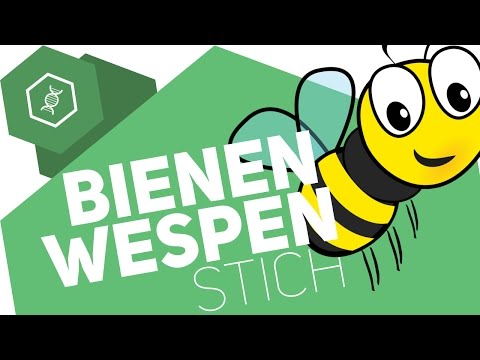 Amarantöl und Gelenke Rechte Ellbogen Roentgen