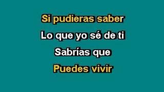 HA ASH   Lo que yo se de ti Karaoke