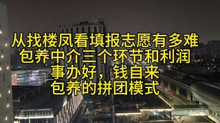 包养中介三个环节各收多钱，包养的拼团模式