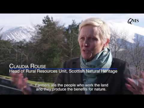 Vision for Scotland’s Hills and Mountains