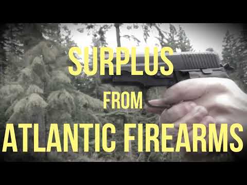 2017 Sig P228 Review- Nutnfancy