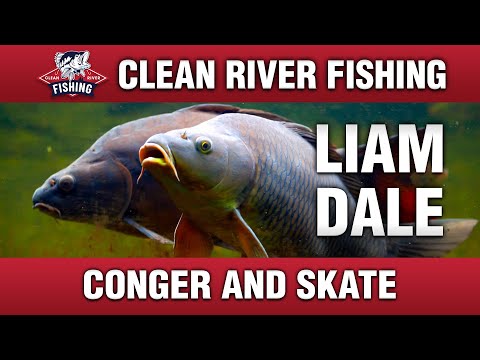 CRP161 BIGGEST BRITISH SEA FISH - CONGER and SKATE