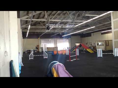 Bev and Pixie 05/07/14