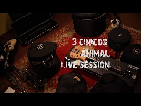 3 CíNICOS - ANIMAL LIVE SESSION video oficial