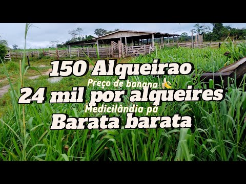 Fazenda mais barata da região 😳 150 alqueires na região de Medicilândia pá 😳😱
