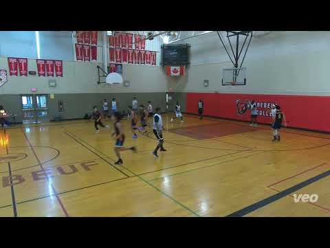 hrmnze (55) vs Team Boogie (68) - sunday tier 4 - tcbl 2022 summer