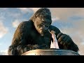 Death of Kong Scene - King Kong (2005) Movie CLIP [1080p HD]