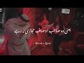Shor Hay Hogai Dunya Sai Musalman Nabod Allama Iqbal Poetry In Urdu Whatsapp Status