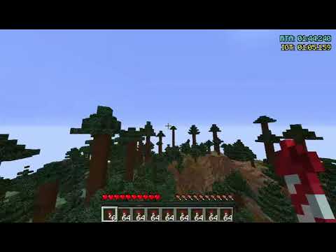 challenge: "Half Adventure Time but I have many elytras" 3:07