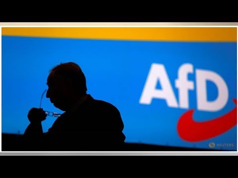 Germany's far-right AfD helping make anti-Semitism 'presentable' - official