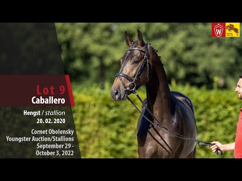 Cornet Obolensky Youngster Auction Lot 09 Caballero Hengst v. Cornet Obolensky - Sir Shutterfly