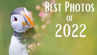 My Favourite 21 Wildlife Photos of 2022 | OM System | Relaxing Music & Nature