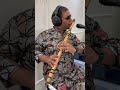 Vida Karo Flute Instrumental By Kiran Vinkar