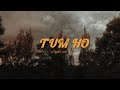 TUM HO MOHIT CHAUHAN SLOWED