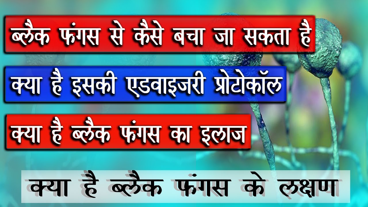 ब्लैकफंगस से बचाव कैसे हो एडवाइजरीप्रोटोकॉल क्या है ब्लैकफंगस के लक्षण फंगस शरीर में कैसे पहुँचता है