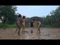 Ritual Of Rain Short Clip Abangoni Afrogoddess Sonke Yabantu