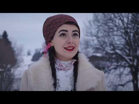 Anotimpurile Banatului (documentar)