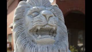 Alejandro Escovedo - Can't Make Me Run