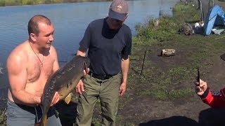 Рыбалка на карпа в черноземье