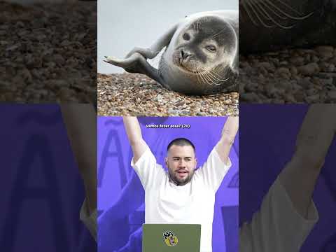 OS CARA MANJA DE ANIMAL