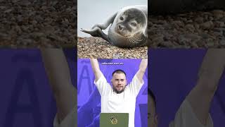 OS CARA MANJA DE ANIMAL