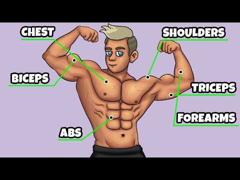 The ONLY 2 Exercises You Need For Each Muscle Group