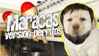 Maracas | Joan Sebastian y Alberto Vazques - Version perritos