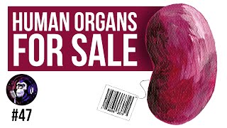#47 Frederike Ambagtsheer | Exploring the Illegal Organ Trade