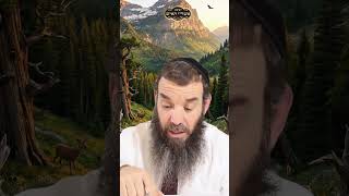 הלכות לשון הרע | הרב שמואל אידלמן (הרב יוסף צבי בן פורת) - התמונה מוצגת ישירות מתוך אתר האינטרנט יוטיוב. זכויות היוצרים בתמונה שייכות ליוצרה. קישור קרדיט למקור התוכן נמצא בתוך דף הסרטון