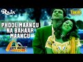 Phool Mangoo Naa Eagle Jhankar Hd Raja 1995 Alka Yagnik Udit Narayan