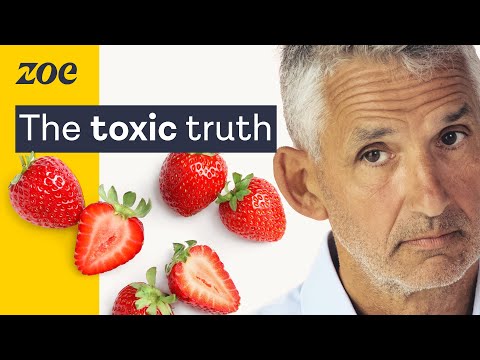 The top foods alarmingly high in pesticides | Prof. Tim Spector