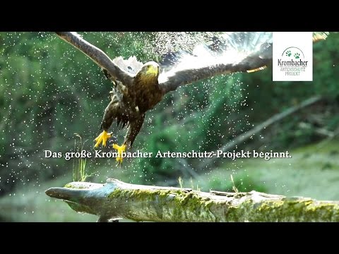 Krombacher "Artenschutz" TV-Spot