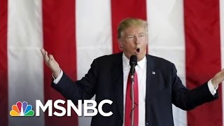 Donald Trump Will Ask Vice President Hopefuls To Release Tax Returns | Andrea Mitchell | MSNBC thumbnail