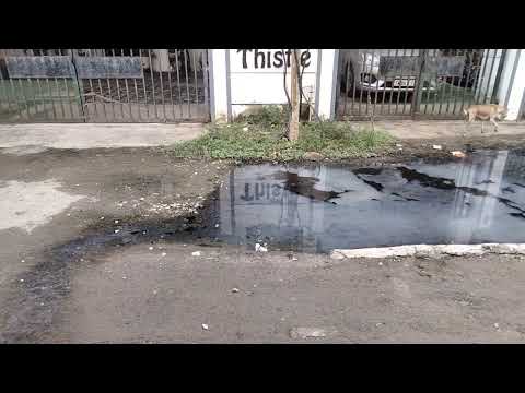 SVVD Thistle Project Tour 1