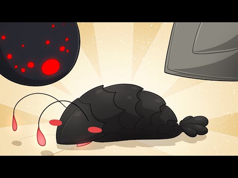 Days of Nature 2025 be like - Sky: CotL Animatic