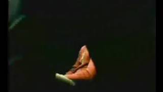 Julio Iglesias junior Oficial. Dejame volar