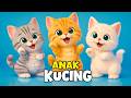 ANAK KUCING MEONG MEONG Lagu Anak Indonesia Lagu Anak Balita Terbaru Lucu