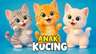 Download lagu ANAK KUCING MEONG MEONG - Lagu Anak Indonesia -  Lagu Anak & Balita Terbaru Lucu mp3