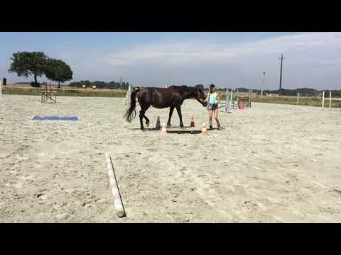 1ère séance de TAP, Alichoua.