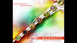 KiloWatts - Euphorbia