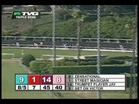 Zensational - Triple Bend H.