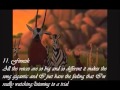 Personal Ranking One Of Us (The Lion King ...
