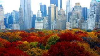 BARBRA STREISAND - NEW YORK STATE OF MIND,   (THINGS TO DO IN NEW YORK CITY)