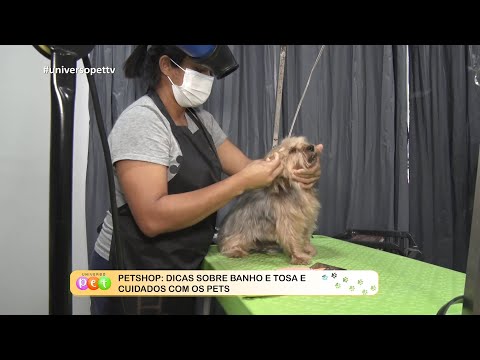 Petshop: Dicas sobre banho e tosa e cuidados com os pets 05 09 2022