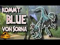 Wie Konnte Blue Ein Baby Bekommen Woher Kommt Beta JW3 Theorie Jurassic Trivia