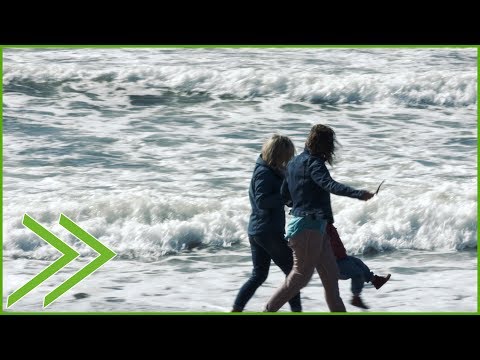 Video 39 aus  Ferienhof Albert